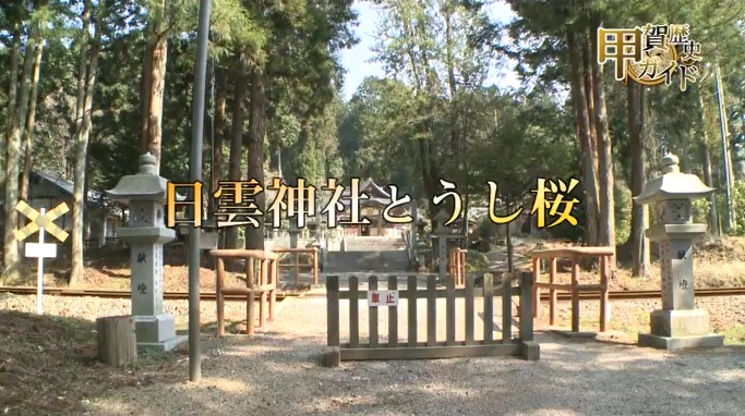 甲賀歴史ガイド（日雲神社とうし桜）