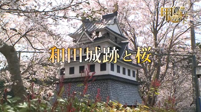 甲賀歴史ガイド（和田城跡と桜）