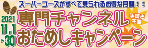 11月★専門チャンネル見放題バナー