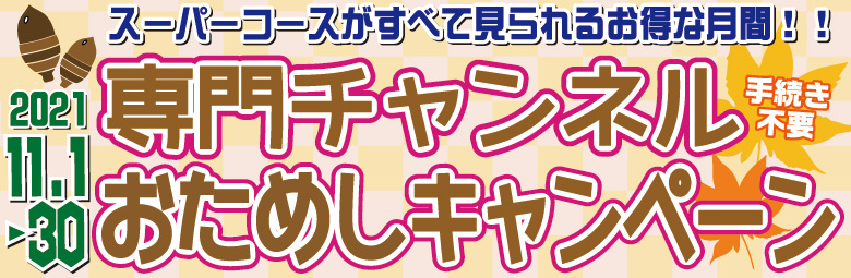 スーパーコースお試しキャンペーン１１月実施！