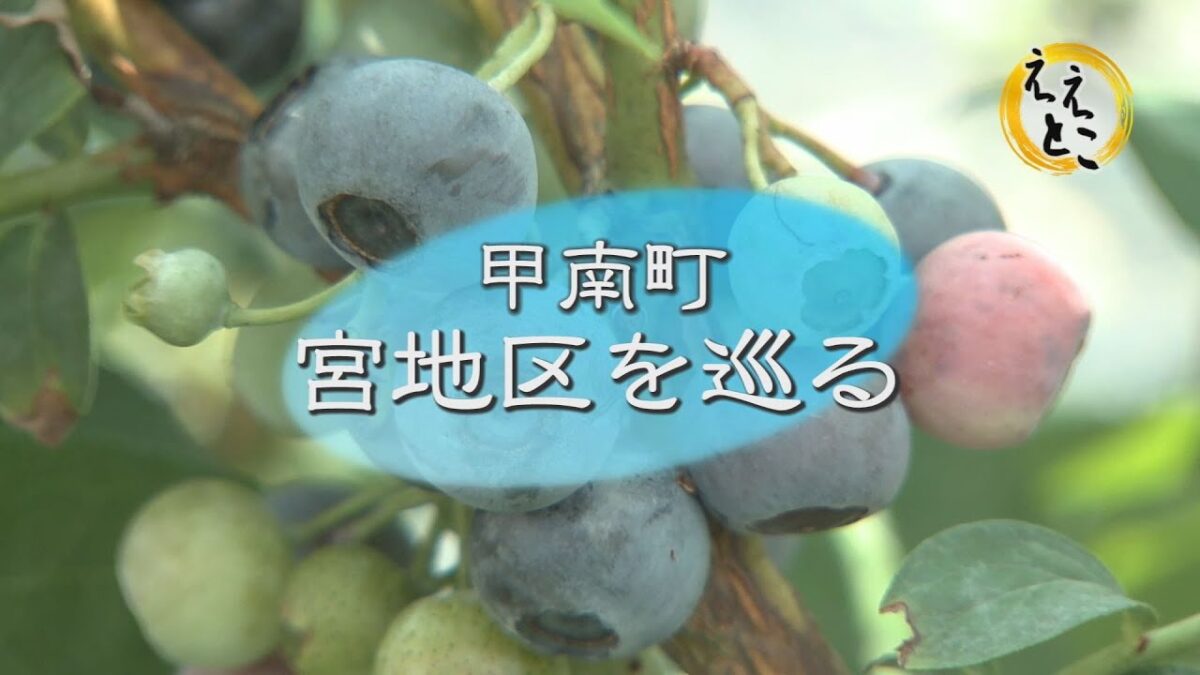 こうかええとこガイド（甲南町宮地区を巡る【前編】）