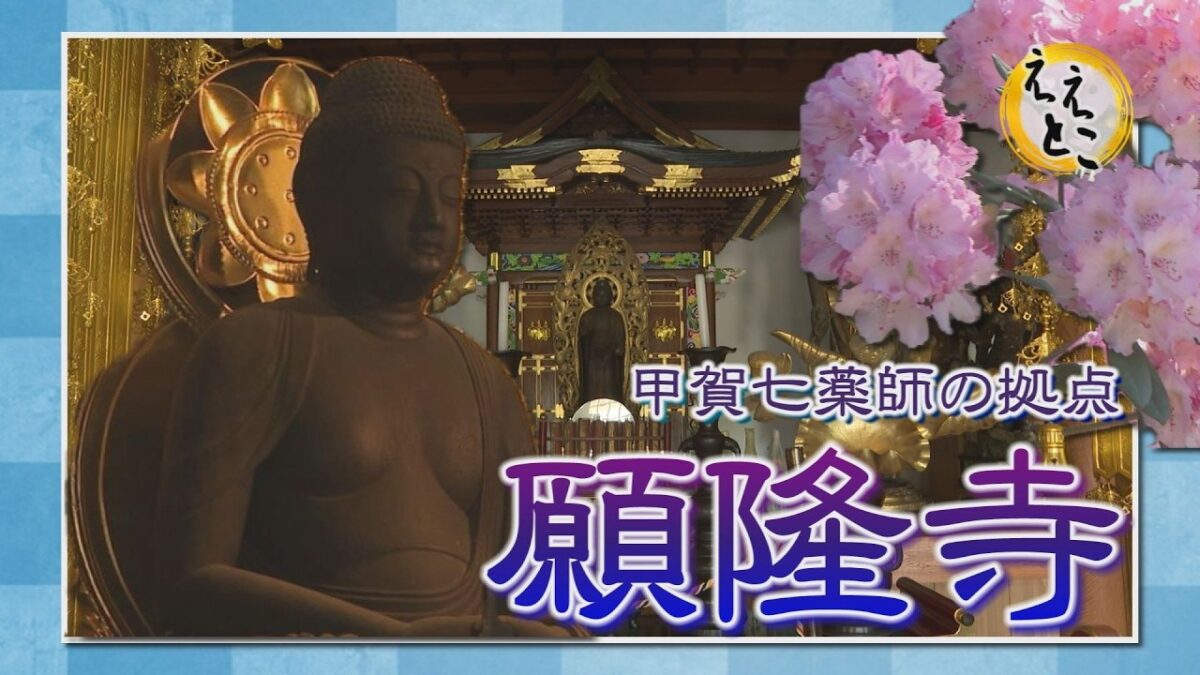 こうかええとこガイド（甲賀七薬師の拠点 願隆寺）