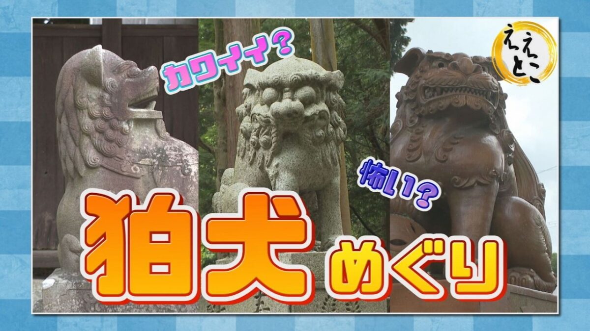 こうかええとこガイド（甲賀市内の狛犬を巡る）